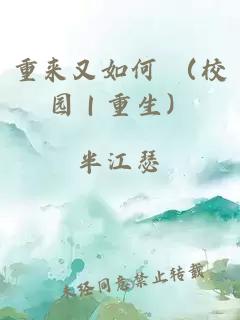 重来又如何 （校园｜重生）