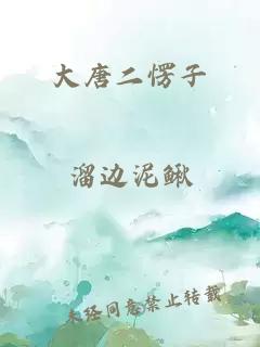 大唐二愣子