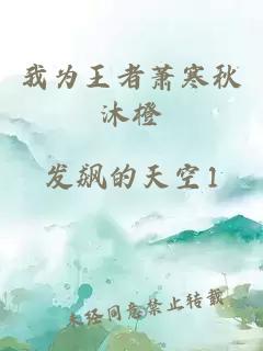 我为王者萧寒秋沐橙