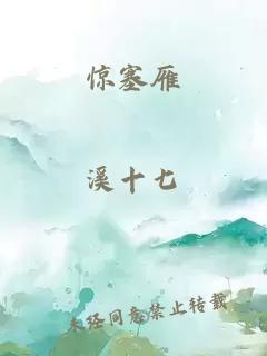 惊塞雁