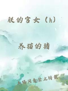 朕的宫女(h)