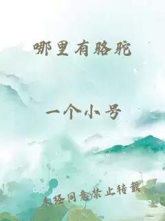 哪里有骆驼
