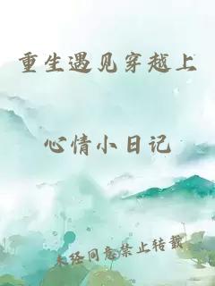 重生遇见穿越上