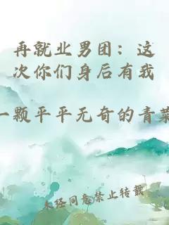 再就业男团：这次你们身后有我