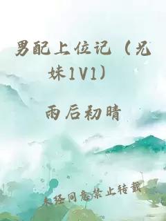 男配上位记(兄妹1V1)