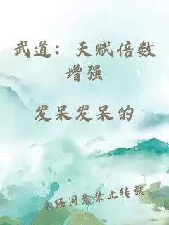 武道：天赋倍数增强