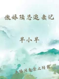 傲娇陆总追妻记