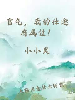 官气，我的仕途有属性！