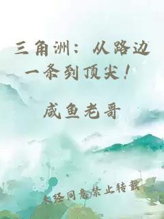 三角洲:从路边一条到顶尖!