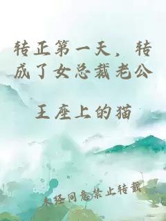 转正第一天，转成了女总裁老公