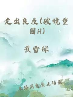 走出良夜(破镜重圆H)