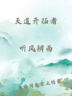 天道开拓者