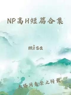NP高H短篇合集