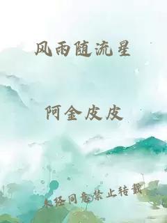 风雨随流星