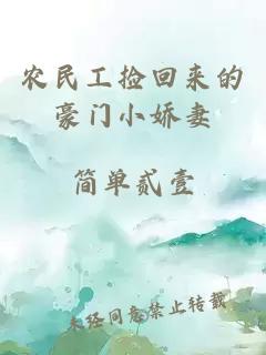 农民工捡回来的豪门小娇妻