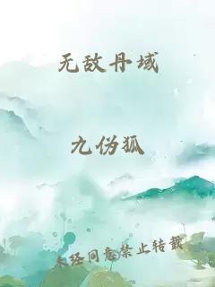 无敌丹域