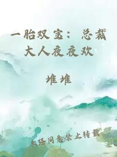 一胎双宝：总裁大人夜夜欢