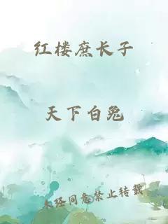 红楼庶长子