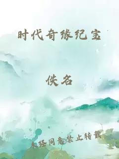 时代奇缘纪宝