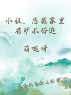 小姐，总裁家里有矿不好追