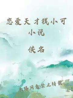 恋爱天才钱小可小说