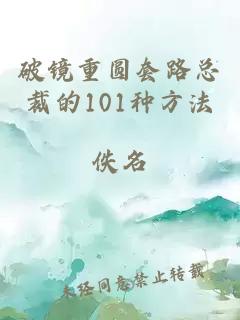 破镜重圆套路总裁的101种方法