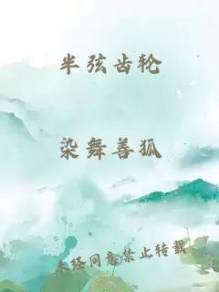 半弦齿轮