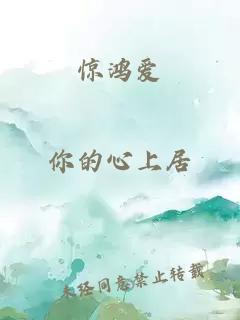 惊鸿爱