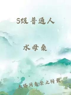 S级普通人