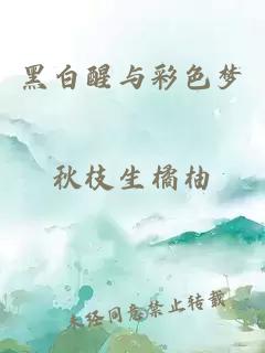 黑白醒与彩色梦