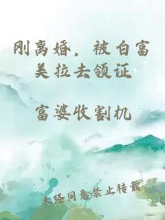 刚离婚，被白富美拉去领证