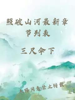 照破山河最新章节列表